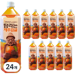 광동 탐라는제주감귤, 1.5L, 24개