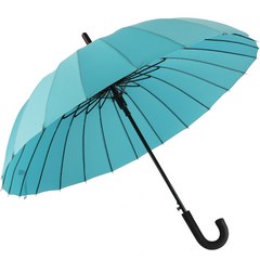 까르벵 24살대 네이처 자동 장우산
