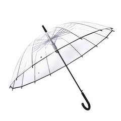 공유 블랙라인 투명 비닐 장우산