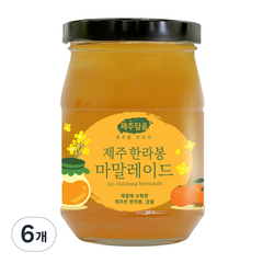 오뚜기 제주담음 제주 한라봉 마말레이드 잼, 300g, 6개
