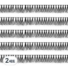 로이엘 부분속눈썹 10줄 5P/12호, 블랙, 2세트