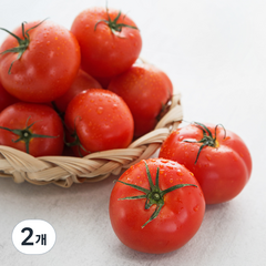우일팜 GAP 인증 스마트 유리온실 토마토, 4kg, 2개