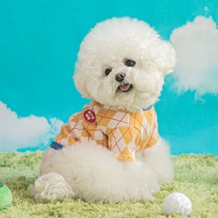 바잇미 강아지 굿스윙 아가일 티셔츠, 옐로우