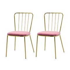 지엠퍼니처 라인 골드벨벳 인테리어 의자 2p, 핑크