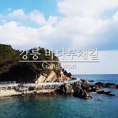 [강원] 강릉 정동진/바다부채길과 해안선열차/묵호등대 당일