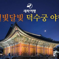 [서울] 별빛 달빛 덕수궁 야행(별달여행)