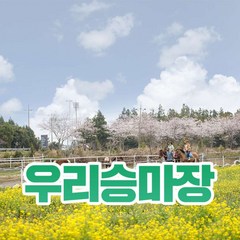 [제주] 우리승마장