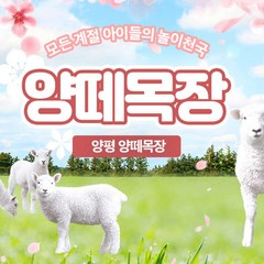[경기] 양평 양떼목장
