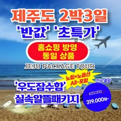 [제주도] 제주도 2박3일 【홈쇼핑 동일 상품】【가성비/반값 초특가】 7. 우도잠수함 실속알뜰패키지