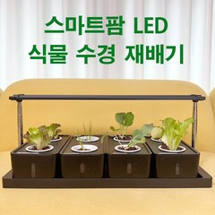 실내 가정용 식물 상추 채소 야채 새싹 수경 재배기, B-화이트 스마트팜 LED재배기, 1개