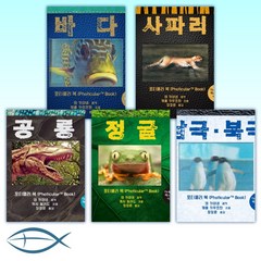 뉴욕타임즈 베스트셀러-포티큘러북 (전6권)-바다 +사파리+ 공룡 +정글+ 남극북극 +아웃백