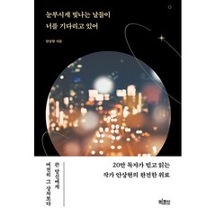 [팝북] 눈부시게 빛나는 날들이 너를 기다리고 있어 - 작가 안상현의 완전한 위로, 상세 설명 참조, 상세 설명 참조