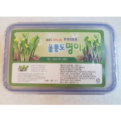 후계자농원 2023년도 햇명이 울릉도 자연산 산마늘 명이나물 절임나물 장아찌 1kg, 울릉도명이 1kg(하드케이스), 1개