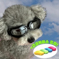 [고글+케이스] 소형견 강아지 드라이브 투명 고글 UV차단 눈보호 선글라스 안경