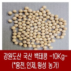 [다온농산] 2022년산 강원도산 햇 백태 메주콩 흰콩 -10Kg- 홍천군/인제군/횡성군 농가, 10kg, 1개