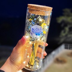 [바르미] 특별한 프리저브드 장미 LED 유리병 꽃 편지지 기념일 선물 세트, 스카이블루