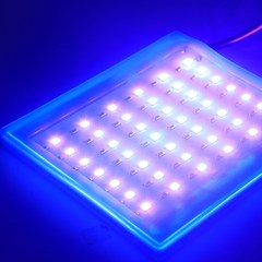 마스터24 UV축광기 42개 LED 고휘도 축광 USB 케이블포함 에기케이스장착용, UV축광기+자동스위치