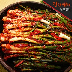 브랜드없음 [진한매력 남도김치] 파김치 2kg, 1개