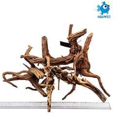 아쿠아펫 가지유목 왕대/왕특대, 왕대(30~40cm)