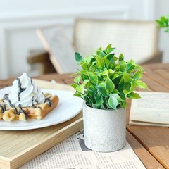 화예원 1+1 미니 조화 화분 인테리어 나무 테이블 장식 소형 식물, 1+1 후로킹대잎