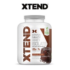 사이베이션 엑스텐드 프로 웨이 프로틴 아이솔레이트 단백질 보충제 초콜릿 라바 케이크 글루텐 프리, 2.3kg, 1개