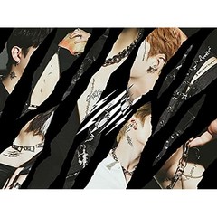 Stray Kids 스트레이 키즈 일본 앨범 CD+특전+포토북+포카+잡지 Scars 초회생산한정판C, 상품선택