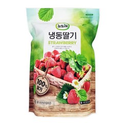 [광명물산] 뉴뜨레 이집트산 냉동딸기 1kg /무가당홀 드라이아이스 포장, 10개