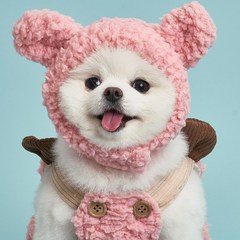 도그아이 강아지 털 곰돌이 모자, 핑크
