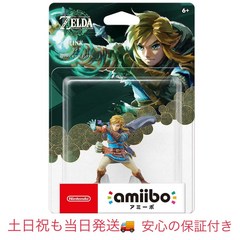 amiibo 왕국의 눈물 (젤다의 전설 시리즈), 단일 옵션개