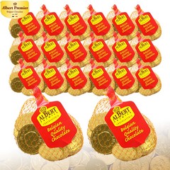예이니식품 벨기에 알버트 코인 초콜릿망(대) 20개(55gx20개) 선물용동전금화메달