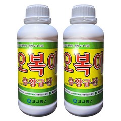 [비료컴퍼니] 오복이500ml(2병) 유황규산 수용성 유황비료 친환경 유기농업자재 고추 배추 마늘 양파 토마토 상추 진딧물 탄저병 뿌리혹병 무름병 칼슘부족