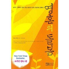 영혼의 돌봄:날마다 거룩하고 깊이 있는 삶으로 이끄는 영성지도 필독서, 아침영성지도연구원