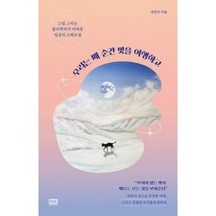 우리는 매 순간 빛을 여행하고 : 그림 그리는 물리학자가 바라본 일상의 스펙트럼, 도서