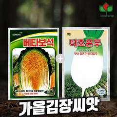 김장항암배추씨앗 가을 김장무씨앗 2종 세트 항암배추씨앗 베타보석200립 더조은무 1100립 (2023년포장), 1개