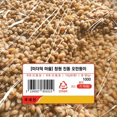 [미더덕마을] 창원진동 냉동(당일 해동)오만둥이, 1kg, 1개