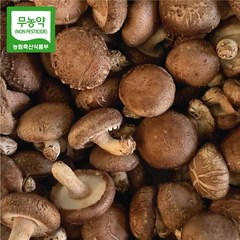 장흥표고버섯 무농약 국내산 배지 생 표고버섯 산지직송 특품 상품 가정용 1kg 2kg, 가정용 2kg, 1개