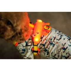 라루 크로커다일 LED USB 충전용 강아지 애견 목걸이 라이트 실리콘 블링커 야간 산책 펜던트 목줄 목걸이 인식표 야광, 그린