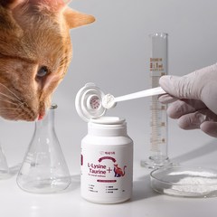 백세가족 고양이 필수 면역 영양제 엘라이신 타우린 비타민 허피스, Essential L-lysine + Taurine