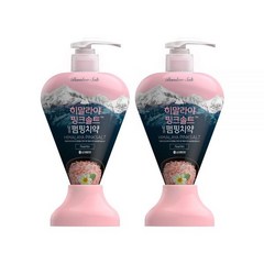 히말라야 핑크솔트 아이스민트 펌핑치약 285g 2개 + 담은칫솔, 펌핑플로럴285g 2개+칫솔2개