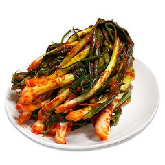 뜰아래김치 국산 파김치, 5kg, 1개