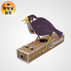 구관조 녹음기(5인용)