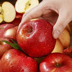 엄지척 빨간사과 가정용 햇 사과 4.5kg, 1박스, 한입 24-30과