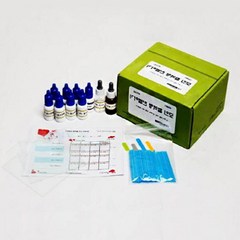 간단한과학실험 생명과학키트 혈액형판정실험 (5인용), 단일
