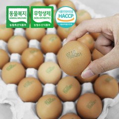 건강한 닭이 낳은 무항생제 동물복지 계란(30구 유정란) 난각번호1호 안전포장, 30구, 1개