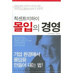 몰입의 경영, 민음인, 미하이 칙센트미하이 저/심현식 역