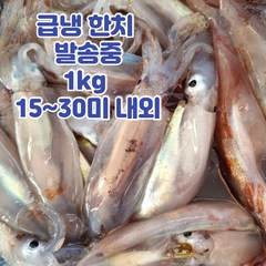 국내산 미니 총알 한치, 1개