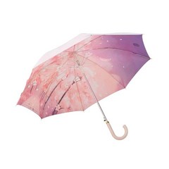 스타벅스 꽃 체리블라썸 장우산 장마 여성장우산 핑크 벚꽃 우산 시즌 MD 유행 봄 여름