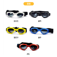 헬로리빙 반려동물 UV차단 눈보호 강아지 선글라스, 1개, 블랙