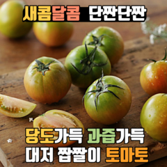 [오늘도과일] 대저 짭짤이토마토 2.5k 당도가득 과즙가득 방울토마토, 정품 짭짤이 토마토, A급, S