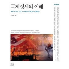 국제정세의 이해:복합 위기의 시대 지구촌의 어젠다와 국제관계, 한울아카데미, 9788946080058, 유현석 저